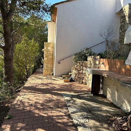 Grand T2 Bis Avec Terrasse Et Vue Apartamento Portel-des-Corbieres Exterior foto